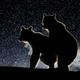 Image: Bence Mate/ Comedy Wildlife Photo Awards